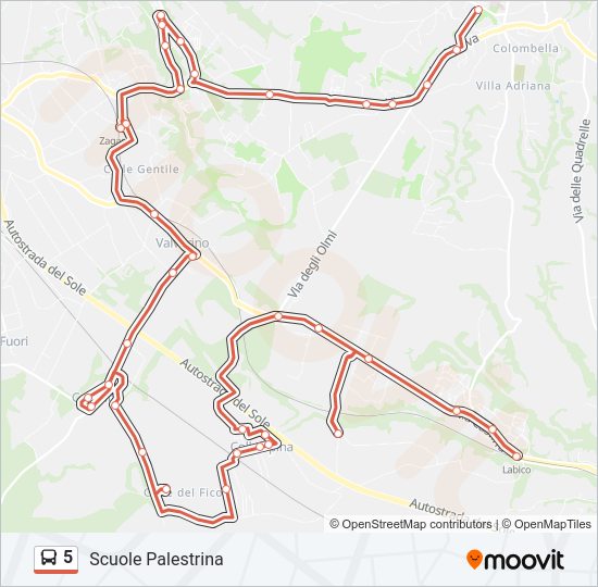 Percorso linea bus 5