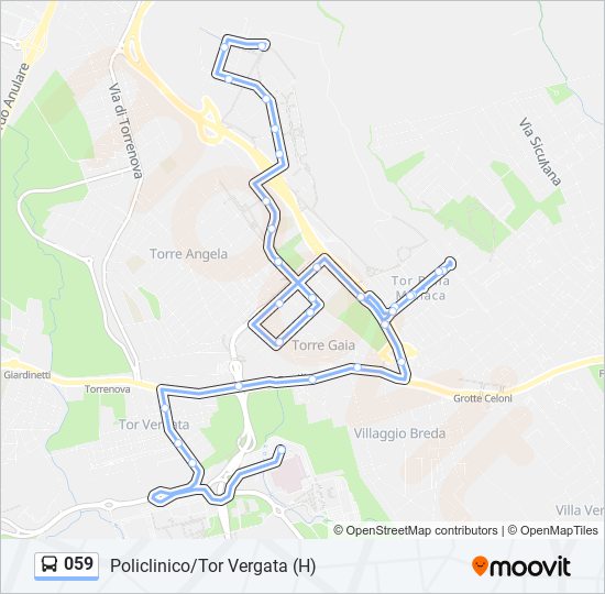 059 Route: Schedules, Stops & Maps - Policlinico Tor Vergata (h) (updated)