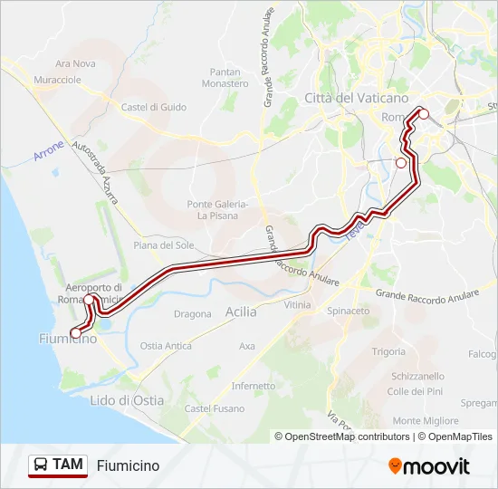 TAM  Line Map