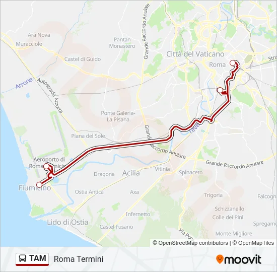 TAM  Line Map