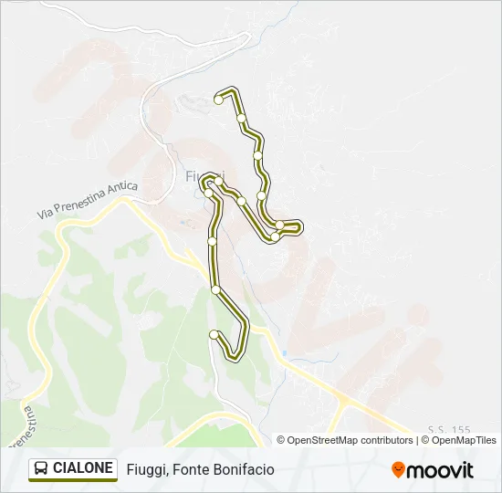 CIALONE Bus Line Map