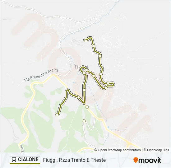 CIALONE Bus Line Map