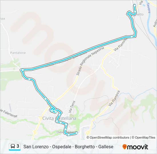 3 Bus Line Map