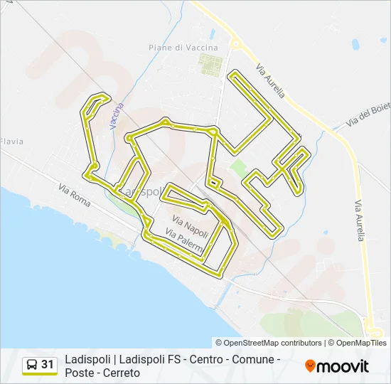 31 Bus Line Map