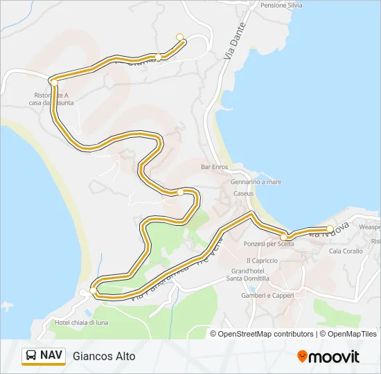 NAV Bus Line Map