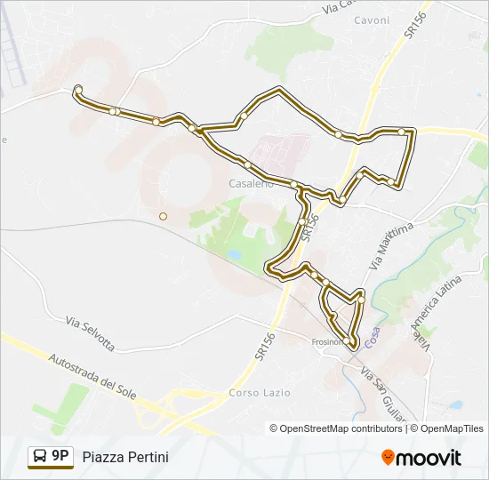 9P Bus Line Map