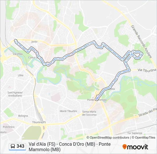 Percorso linea bus 343