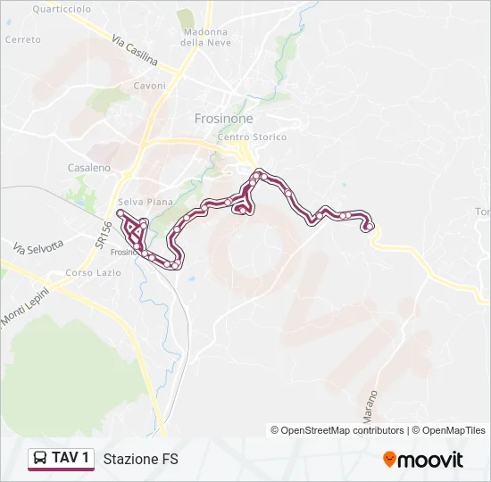 TAV 1 Bus Line Map