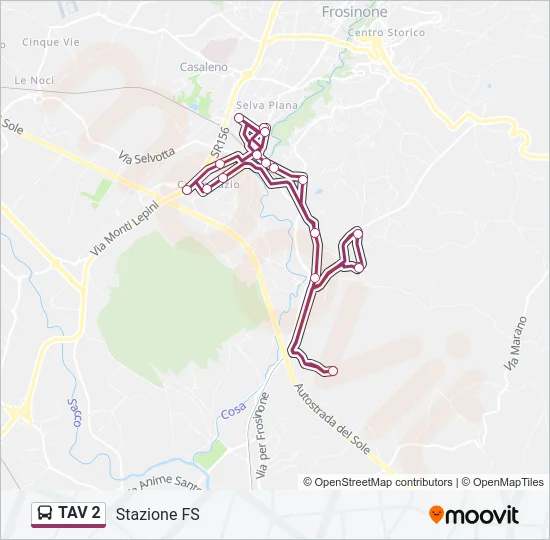 TAV 2 Bus Line Map