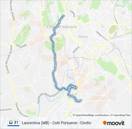 31 Bus Line Map