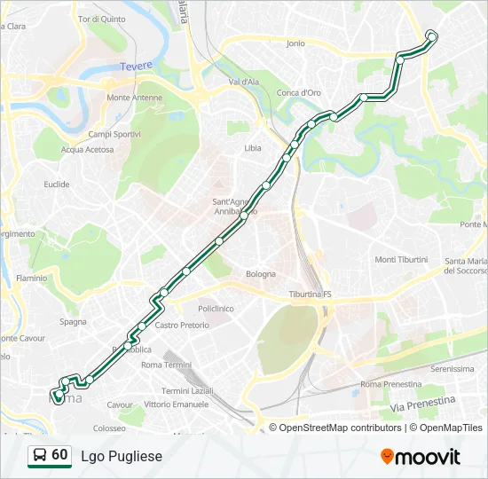 60 Bus Line Map