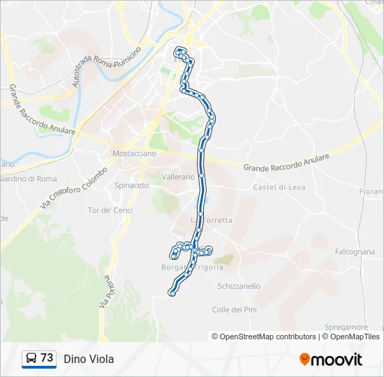 Percorso linea bus 73