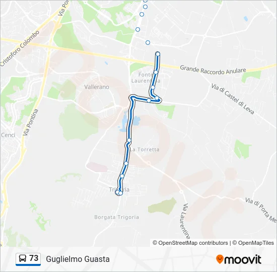 Percorso linea bus 73