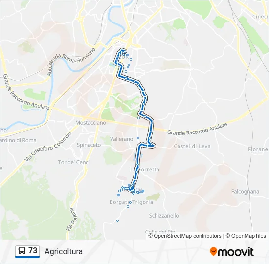 Percorso linea bus 73