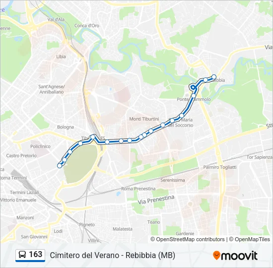 163 Bus Line Map