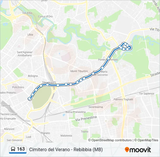 163 Bus Line Map