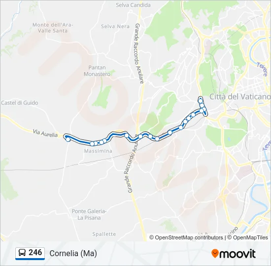 246 Bus Line Map