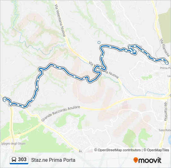 Percorso linea bus 303