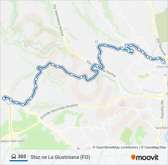 303 Bus Line Map