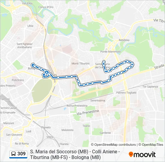 Percorso linea bus 309