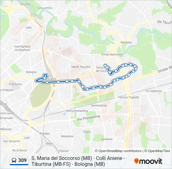 309 Bus Line Map