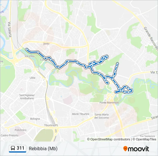311 Bus Line Map