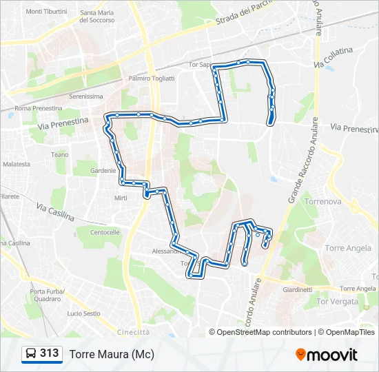 313 Bus Line Map