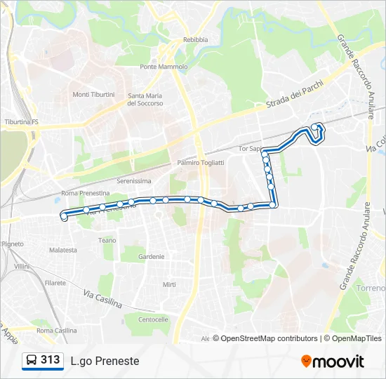 Percorso linea bus 313