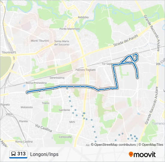 Percorso linea bus 313
