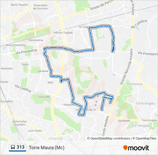 Percorso linea bus 313