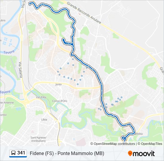 Linea 341: orari, fermate e mappe - Ponte Mammolo (Mb) (Aggiornato)