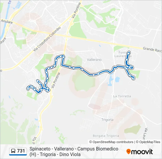Percorso linea bus 731