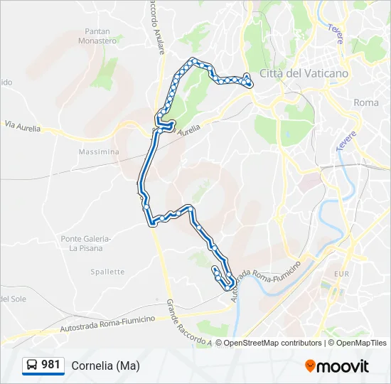 981 Bus Line Map