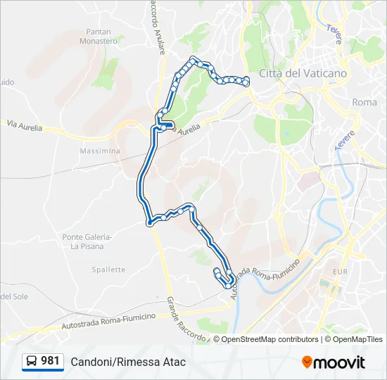 981 Bus Line Map