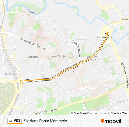 Percorso linea bus P03