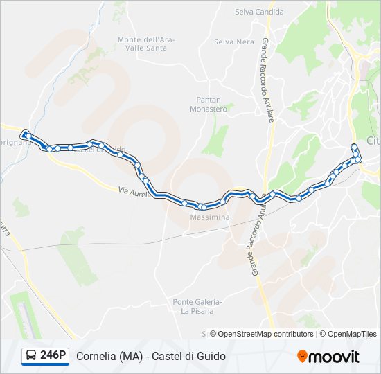 Percorso linea bus 246P