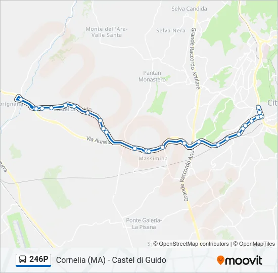 246P Bus Line Map