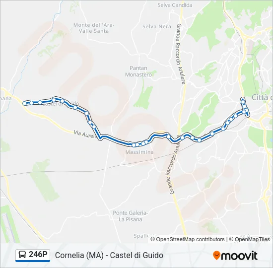 246P Bus Line Map
