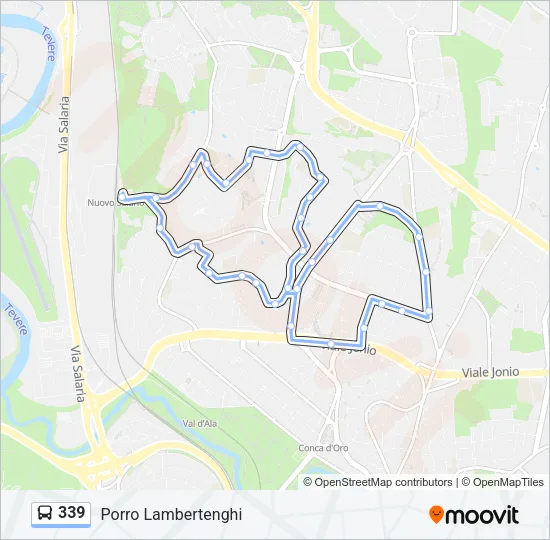 339 Bus Line Map