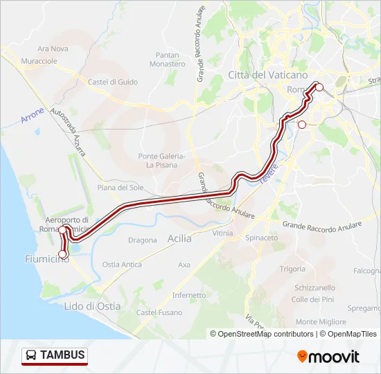 TAMBUS Bus Line Map