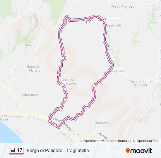 17 bus Line Map