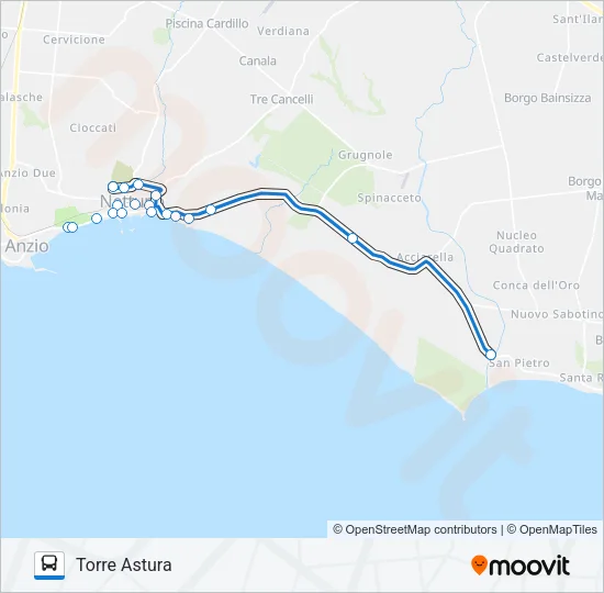 BEACH BUS Bus Line Map