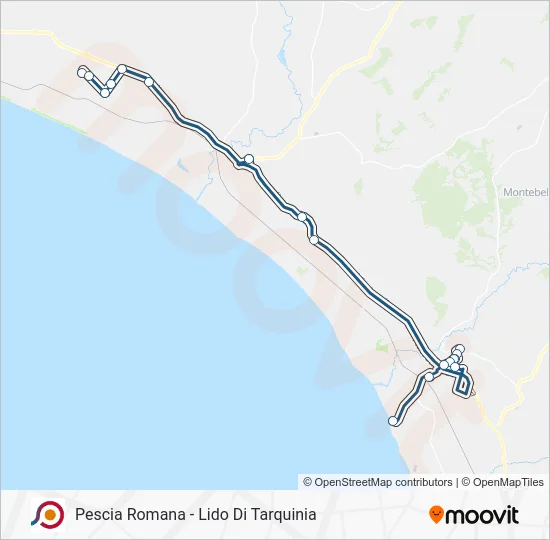 Percorso linea bus COTRAL