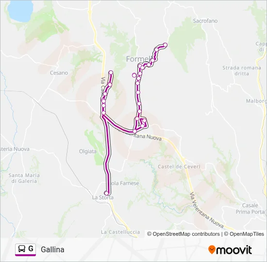 Percorso linea bus G