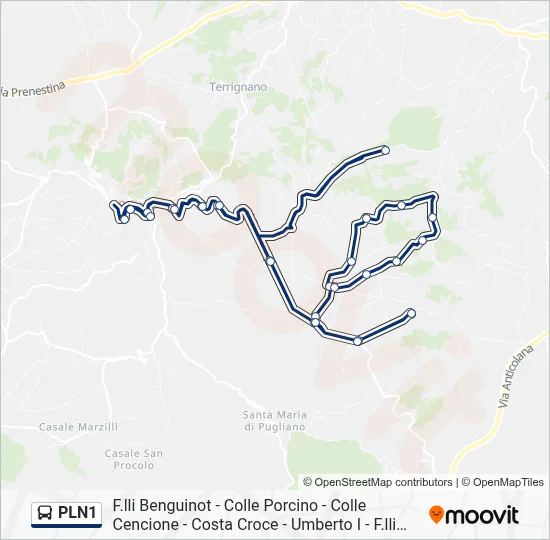 Percorso linea bus PLN1