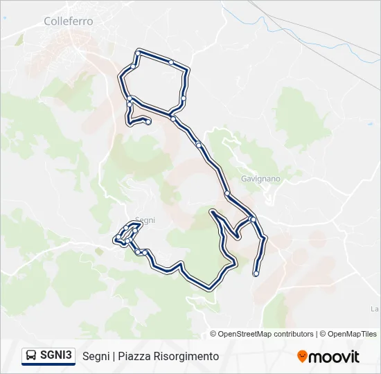 Percorso linea bus SGNI3