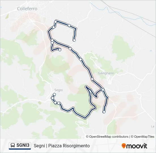 Percorso linea bus SGNI3