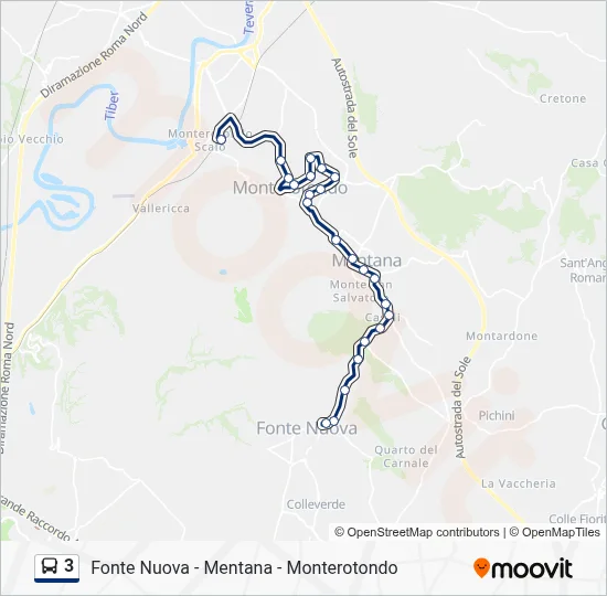 3 Bus Line Map