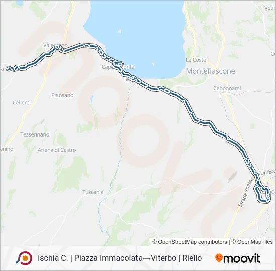Percorso linea bus COTRAL