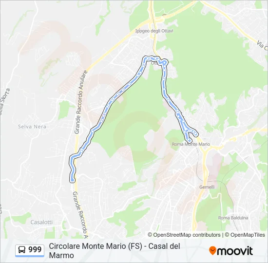 Percorso linea  999